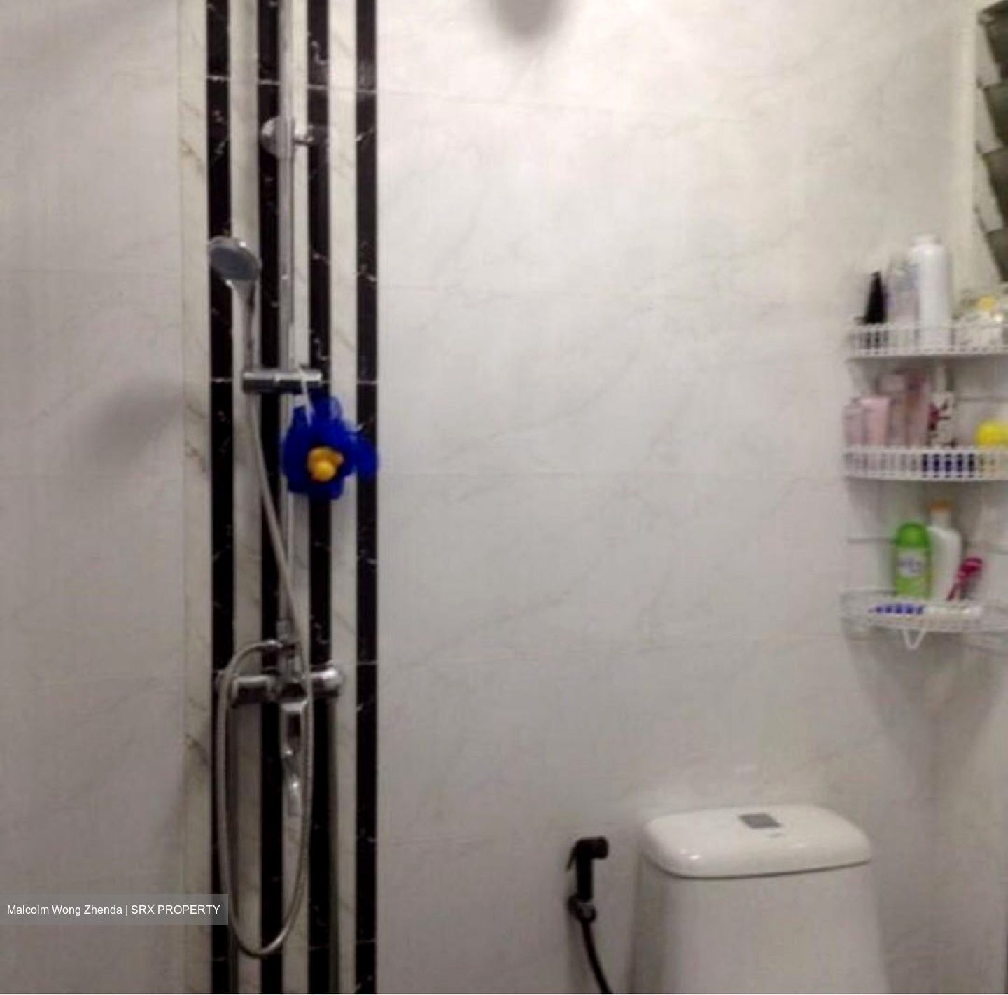 Blk 528 Jurong West Street 52 (Jurong West), HDB Executive #589890281